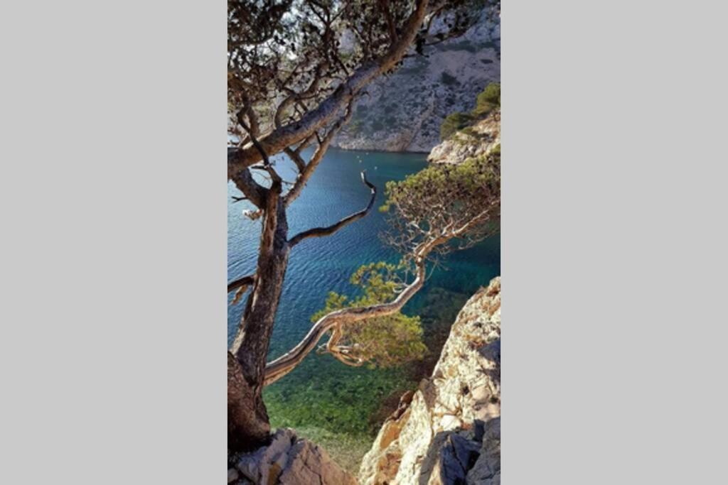 Suite Sur La Mer Marseille Corniche Exteriör bild